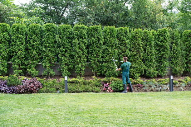 Best Pest Control for Lawns  in Maria Stein, OH